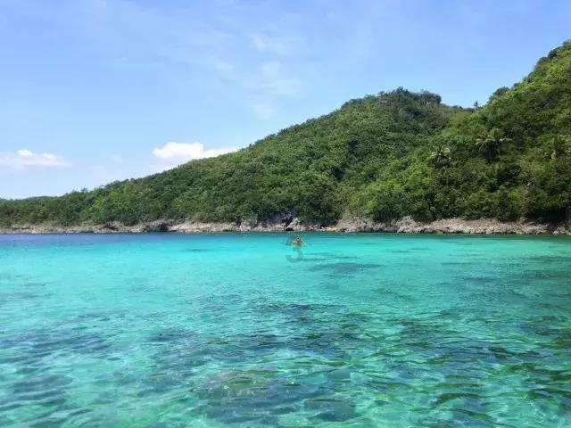逃离梦想花园